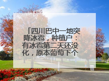 四川巴中一地突降冰雹，种植户：有冰雹第二天还没化，原本葡萄下个月上市，现在全被打落