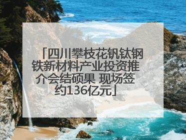 四川攀枝花钒钛钢铁新材料产业投资推介会结硕果 现场签约136亿元