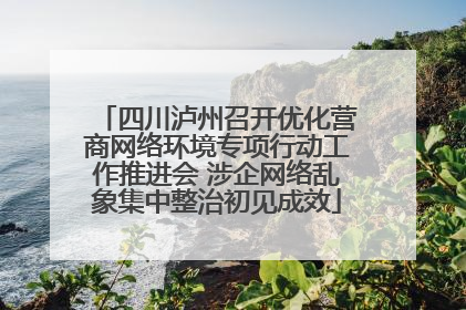 四川泸州召开优化营商网络环境专项行动工作推进会 涉企网络乱象集中整治初见成效