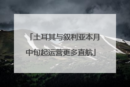 土耳其与叙利亚本月中旬起运营更多直航