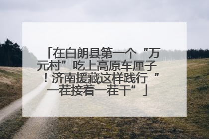 在白朗县第一个“万元村”吃上高原车厘子！济南援藏这样践行“一茬接着一茬干”