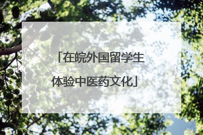 在皖外国留学生体验中医药文化