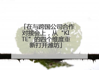 在与跨国公司合作对接会上，从“KITE”的四个维度重新打开潍坊