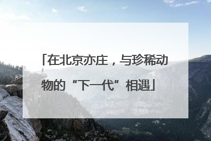 在北京亦庄，与珍稀动物的“下一代”相遇