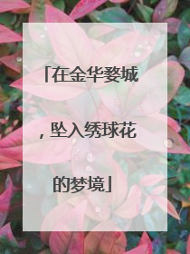 在金华婺城，坠入绣球花的梦境