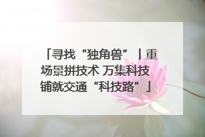 寻找“独角兽”丨重场景拼技术 万集科技铺就交通“科技路”