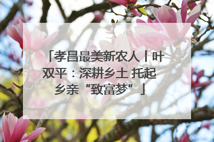 孝昌最美新农人丨叶双平：深耕乡土 托起乡亲“致富梦”