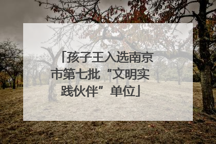 孩子王入选南京市第七批“文明实践伙伴”单位