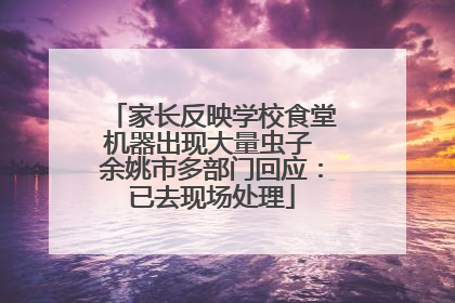 家长反映学校食堂机器出现大量虫子 余姚市多部门回应：已去现场处理