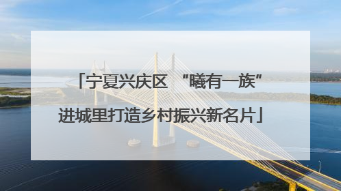 宁夏兴庆区 “曦有一族”进城里打造乡村振兴新名片