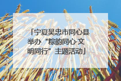 宁夏吴忠市同心县举办“粽韵同心·文明同行”主题活动