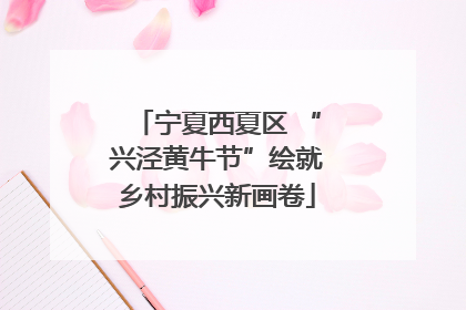 宁夏西夏区 “兴泾黄牛节”绘就乡村振兴新画卷