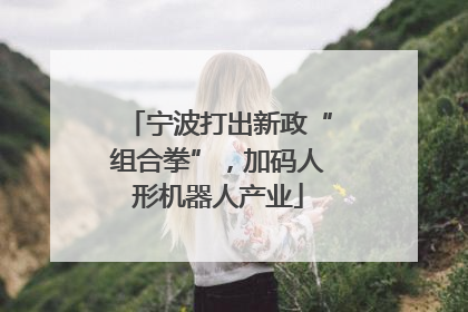 宁波打出新政“组合拳”，加码人形机器人产业