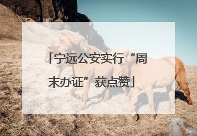宁远公安实行“周末办证”获点赞