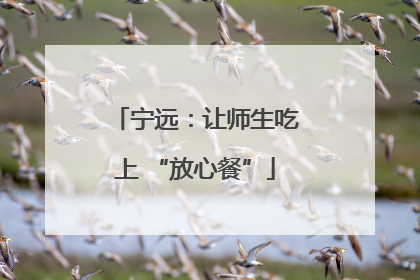 宁远：让师生吃上 “放心餐”