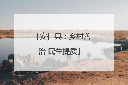 安仁县：乡村善治 民生提质