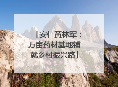 安仁黄林军：万亩药材基地铺就乡村振兴路