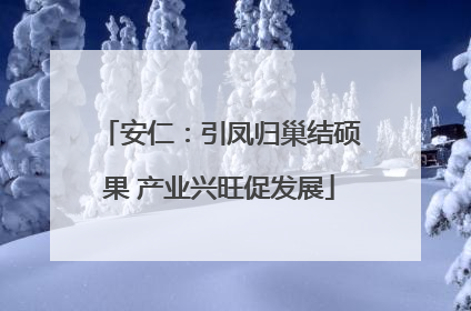 安仁：引凤归巢结硕果 产业兴旺促发展