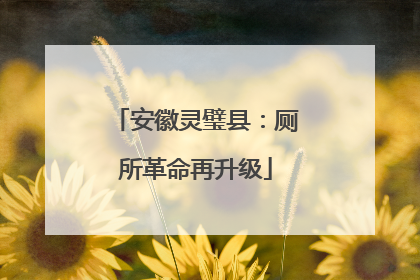 安徽灵璧县：厕所革命再升级