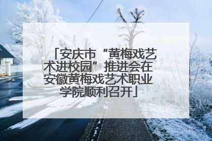 安庆市“黄梅戏艺术进校园”推进会在安徽黄梅戏艺术职业学院顺利召开