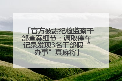 官方披露纪检监察干部查案细节：调取停车记录发现3名干部假“办事”真麻将