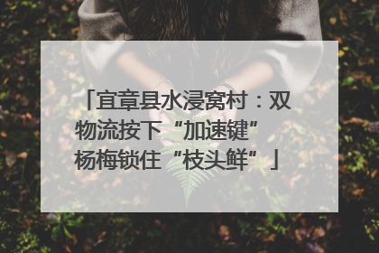 宜章县水浸窝村：双物流按下“加速键” 杨梅锁住“枝头鲜”