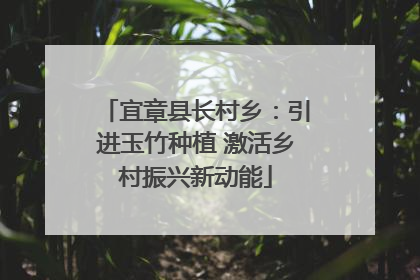 宜章县长村乡：引进玉竹种植 激活乡村振兴新动能