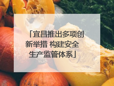 宜昌推出多项创新举措 构建安全生产监管体系