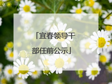 宜春领导干部任前公示