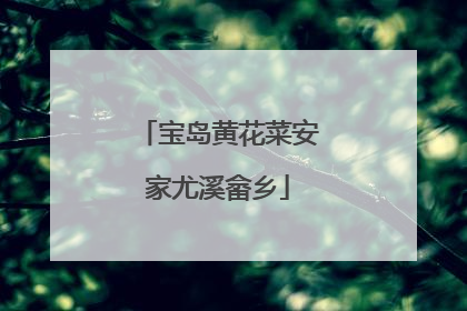 宝岛黄花菜安家尤溪畲乡