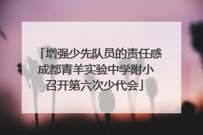 增强少先队员的责任感 成都青羊实验中学附小召开第六次少代会
