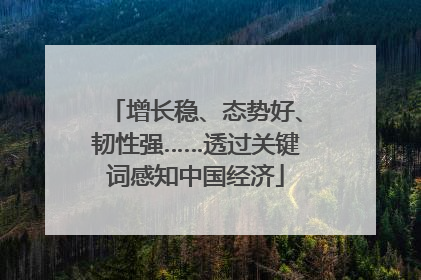 增长稳、态势好、韧性强……透过关键词感知中国经济