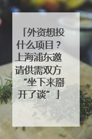 外资想投什么项目？上海浦东邀请供需双方“坐下来掰开了谈”