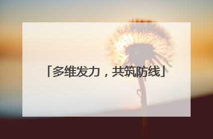 多维发力，共筑防线