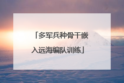 多军兵种骨干嵌入远海编队训练
