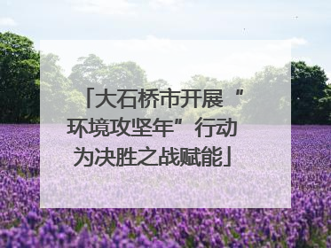 大石桥市开展“环境攻坚年”行动为决胜之战赋能