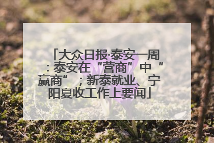 大众日报·泰安一周：泰安在“营商”中“赢商”；新泰就业、宁阳夏收工作上要闻