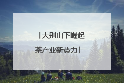 大别山下崛起茶产业新势力