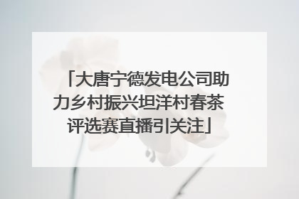 大唐宁德发电公司助力乡村振兴坦洋村春茶评选赛直播引关注