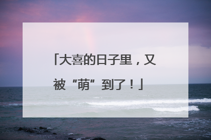 大喜的日子里，又被“萌”到了！