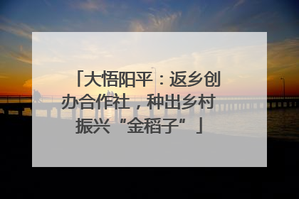 大悟阳平：返乡创办合作社，种出乡村振兴“金稻子”