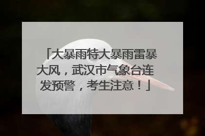大暴雨特大暴雨雷暴大风，武汉市气象台连发预警，考生注意！
