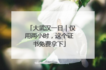 大武汉一日｜仅用两小时，这个证书免费拿下