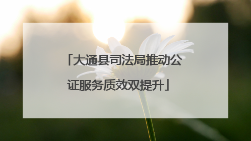 大通县司法局推动公证服务质效双提升