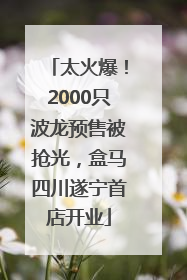 太火爆！2000只波龙预售被抢光，盒马四川遂宁首店开业