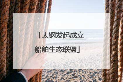 太钢发起成立船舶生态联盟