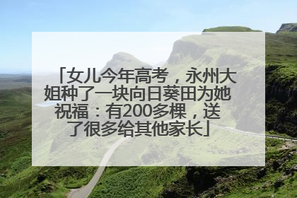 女儿今年高考，永州大姐种了一块向日葵田为她祝福：有200多棵，送了很多给其他家长