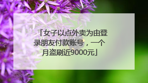 女子以点外卖为由登录朋友付款账号，一个月盗刷近9000元