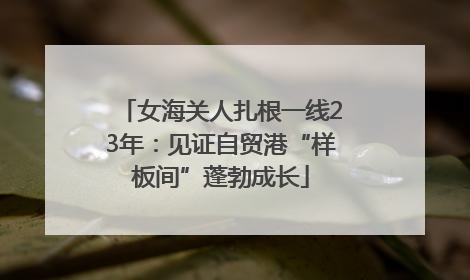 女海关人扎根一线23年：见证自贸港“样板间”蓬勃成长