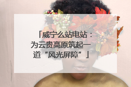 威宁么站电站：为云贵高原筑起一道“风光屏障”
